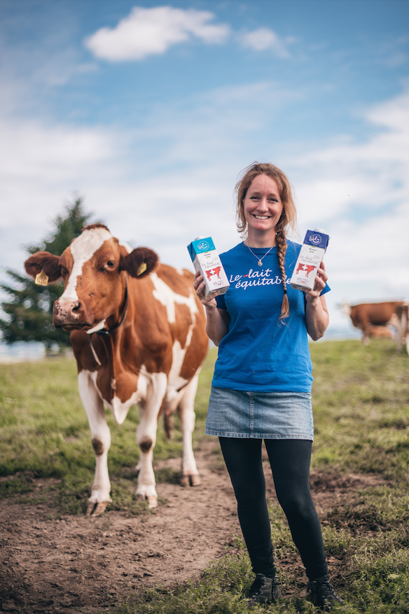 Image La vache laitière, nuisible ou solution ?
